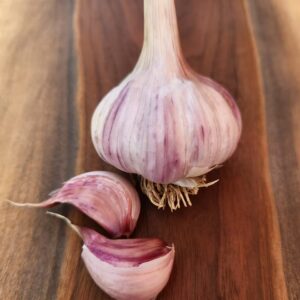 Pheoski Purple Garlic